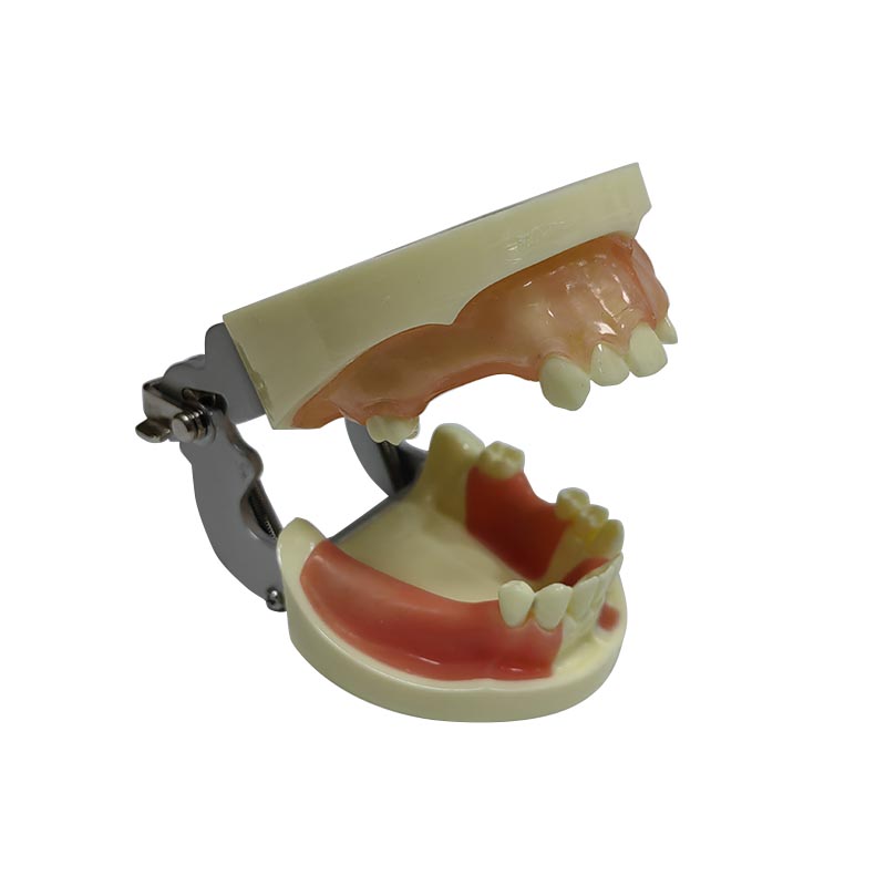 dental surgery microscope  03